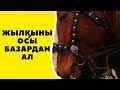 Бəйдібек Би Мал Базары🔥🔥🔥Алматы(Маловодный)26.01.2020