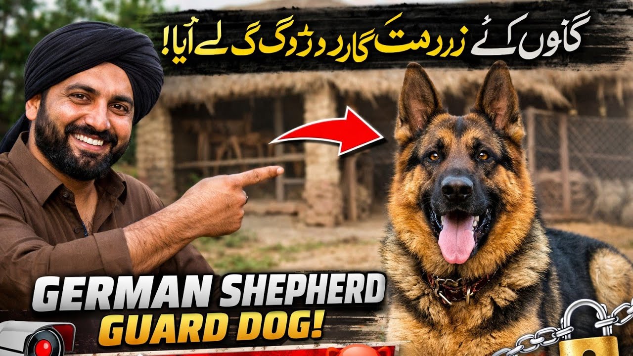 Dera Ke Liye Guard Doggy Le Aaya 😱 | Farm Security Strong Ho Gayi 💪🐶