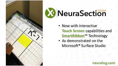 NeuraSection Touch Preview