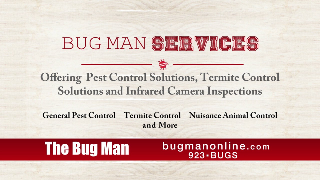 The Bug Man Professional Pest Control TOKS YouTube