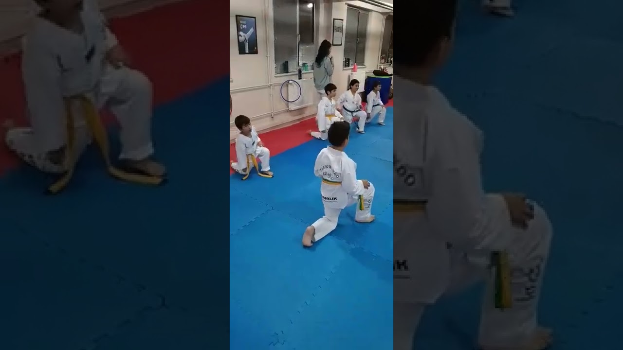 Kids Taekwondo🥰🥋🥰 