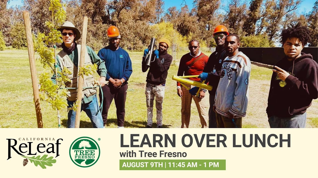 Tree Workforce Development Learn Over Lunch with Tree Fresno - Workforce Development Program - YouTube