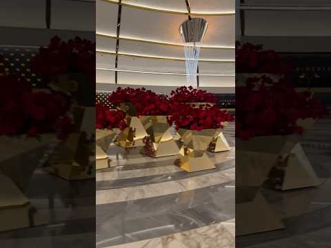 Ballet Veneno 2015 mix xv Salón Condesa Real