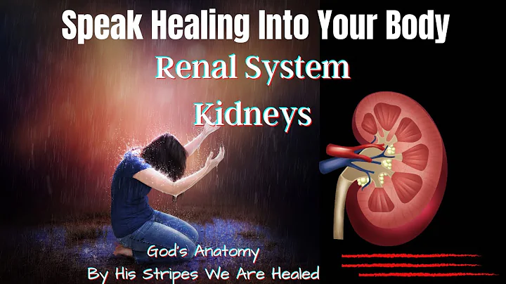 How To Speak Healing Upon Your Body |  Renal System | God's Anatomy