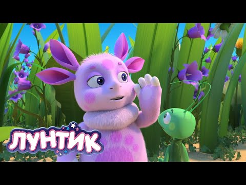 Лунтик 🙈 Играем в прятки 🙈 Сборник мультиков для детей