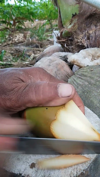 #wow bululuk coconut#petani banana#cuting #satisfying