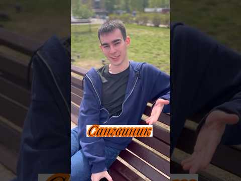 Кто такой сангвиник? Как его распознать? #психолог #психология #темперамент #типы #сангвиник #поток
