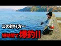 【エギング&浮き釣り】ヤリイカが短時間で爆釣する仕掛けを見つけました♪