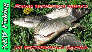 Ловля весеннего карасика на маховые поплавочные удочки