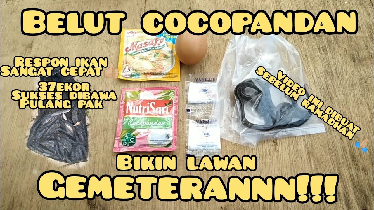 MANCING LELE || RACIKAN BARU LANGSUNG GACOR PAK MANTAPP!!!!