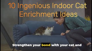 10 Ingenious Indoor Cat Enrichment Ideas