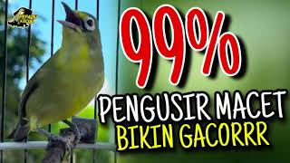 Download Lagu Ciak Joss Kecial Kuning PENGUSIR MACET‼️Ampuh Bikin Kecial Jadi GACORR✅ MP3 Download Lagu Ciak Joss Kecial Kuning PENGUSIR MACET‼️Ampuh Bikin Kecial Jadi GACORR✅ MP3