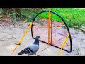 Best Net pigeon Trap | Amazing technique to catch pigeon