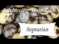 SEPTARIAN  💎 TOP 4 Crystal Wisdom Benefits of Septarian Crystal! | Stone of Wisdom & Communication