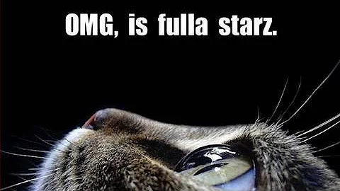 Clay Shirky: Are Lolcats a Sign of Human Progress?