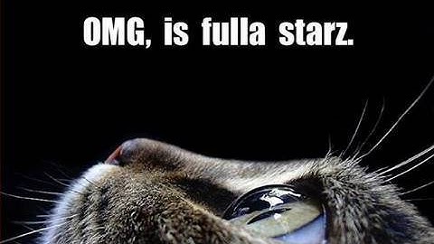 Clay Shirky: Are Lolcats a Sign of Human Progress?