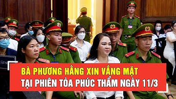 Bà Phương Hằng xin vắng mặt tại phiên tòa phúc thẩm ngày 11/3