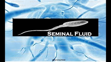SEMINAL FLUID