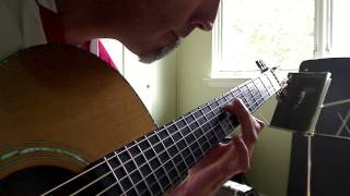 quotAnamorphic Artquot Fingerstyle Improvisation David Webber OM Guitar