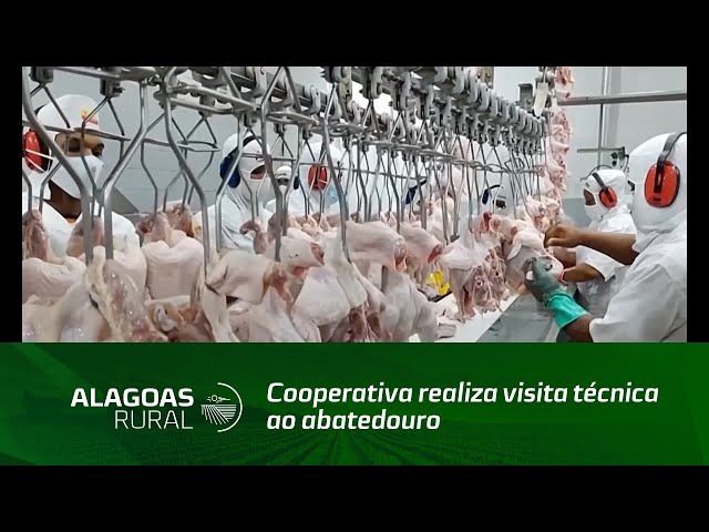 Cooperativa realiza visita técnica ao abatedouro do Frango Favorito