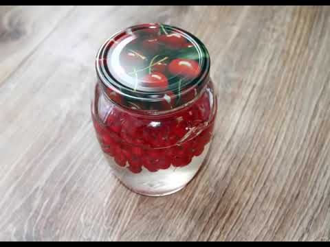 Video: Blood Red Currant