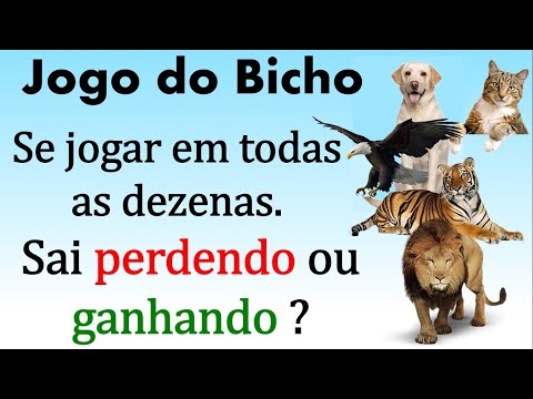 Quanto Ganha no Jogo do Bicho? Veja Aqui Como Funciona