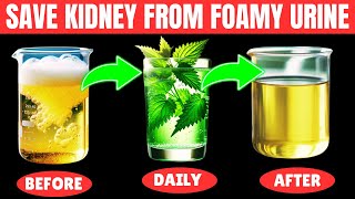 Top 10 Super Drinks to stop Proteinuria quickly and Heal Kidney Fast