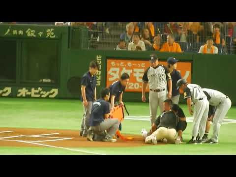 阪神タイガース2017/上本選手への危険球で場内騒然(2017.09.30)