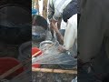 অনেক মাছ। #viralvido #amazing #fishingvideo #