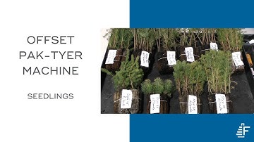 Seedlings Bundling Pak Tyer Offset Tying Machine