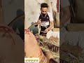 Fukri jada vaj gaie #shorts #shortsfeed #youtubeshorts #punjabi #punjabifunny #punjabicomedy