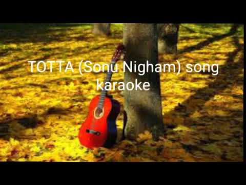TOTTA Sonu Nigham song  Karaoke 