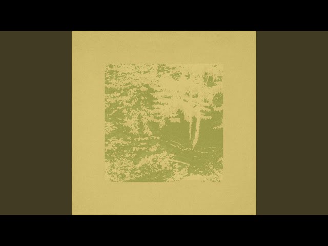 The Antlers  -  Need Nothing