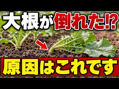 楽農tech - YouTube