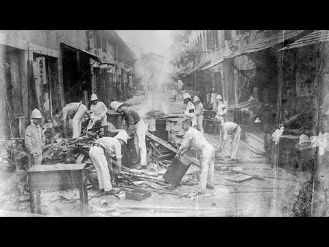 Disease, People, and Environment: The Plague in China