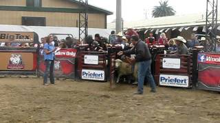 Wool Riders Only Rayito#1 @ Ventura County Fair 2011