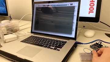 Processing + Arduino: Visualization