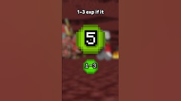 What is the BEST way to get EXP in Minecraft...