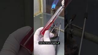 Tsi Profile For E. Coli Acid Slant, Acid Butt, Gas Production. No H₂S Detected.