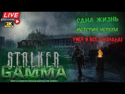 Видео: STALKER ANOMALY GAMMA - ОДНА ЖИЗНЬ / СТРИМ - ИСТОРИЯ ЧЕРЕПА! | СТАЛКЕР АНОМАЛИ ГАММА