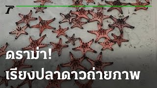 ดราม่า! สาวกระบี่ นำปลาดาว เรียงถ่ายภาพให้ลูก | 08-09-64 | ข่าวเที่ยงไทยรัฐ