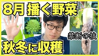 【家庭菜園】8⽉に植える野菜ランキングベスト5！核家族化が進んだ日本でも秋冬も収穫しよう