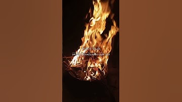 [فصلت: ١٩-٢٠] القارئ: عبدالرحمن السويّد