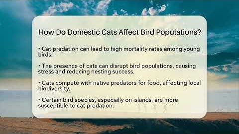 How Do Domestic Cats Affect Bird Populations? - Ecosystem Essentials