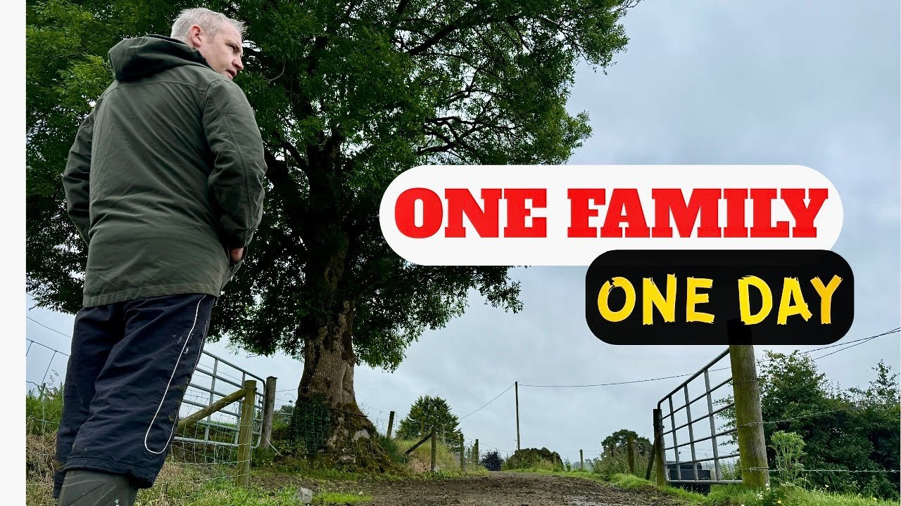 A Day In The Life - Small Farm In The Heart Of Ireland (All Work No Talk)