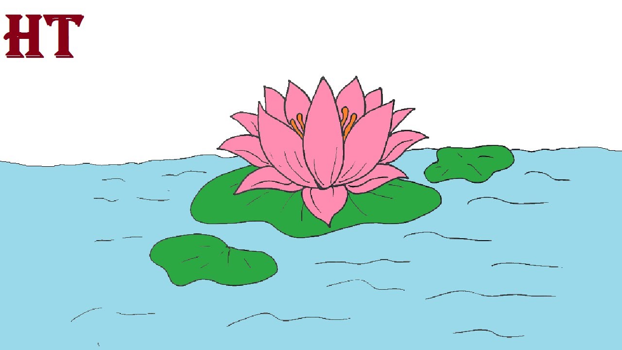 How To Draw A Lotus Flower Step By Step Easy Flower Drawing Htfunny How To Draw A Lotus Flower Step By Step Easy Flower Drawing Htfunny