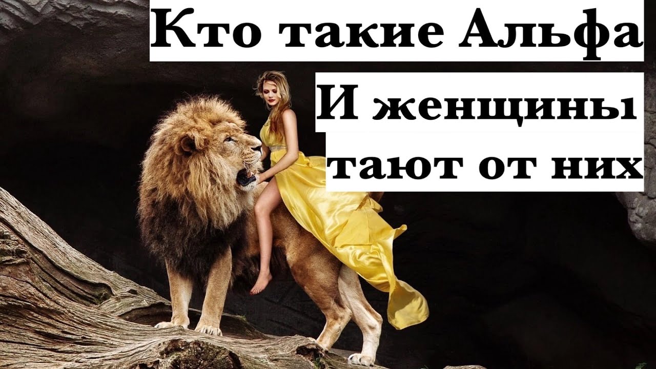 Свой в альфе что это такое. Кто такие альфы. Альфа в отношениях. Кто такие Альфа и Омега в отношениях. Кто такие Альфа и Омега и бета в отношениях.