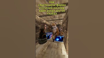 Ето писец... #rust #мем #юмор #раст