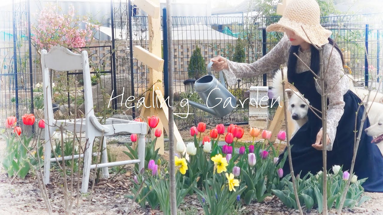 #81. Апрель Целебный Сад с Цветущими Тюльпанами 🌷 ㅣСамостоятельная Поддержка Роз