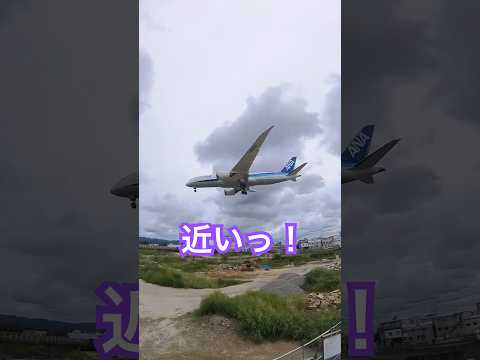 【大阪府】豊中つばさ公園『ma -zika』　飛行機が近かった！ #shorts #ドライブ #旅行
